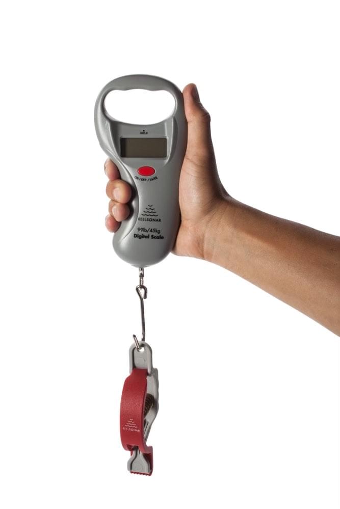 Digital Fish Grip Scale Fish Gripper, Weight Scale And Tape Measure In One  Convenient To Hold And Operate Heavy Duty Spring Action Eres Firm Grip