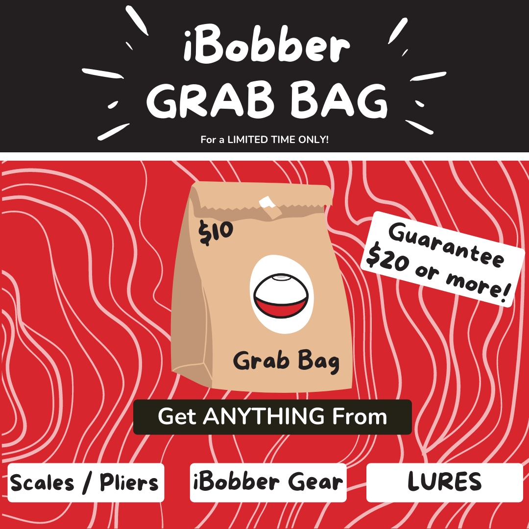 iBobber GRAB BAG ReelSonar