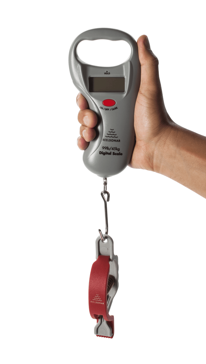 ReelSonar Digital Scale - Main Image