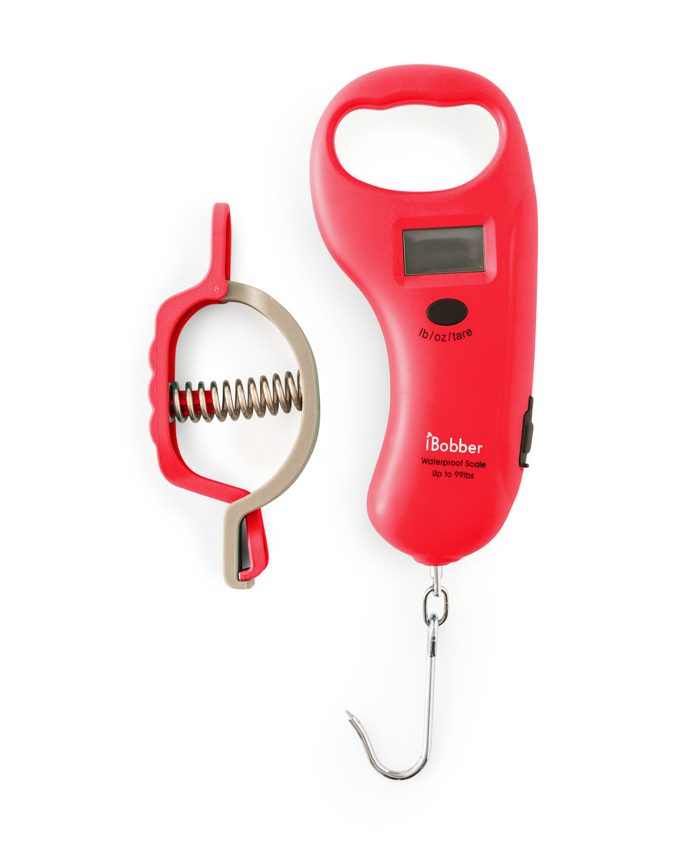 iBobber USB Charger (+ FREE Lure) – ReelSonar